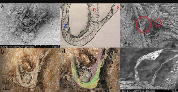 Studi Ungkap Neanderthal Tak Sebodoh yang Diduga Sebelumnya