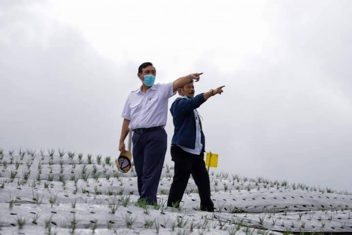 Luhut: "Food Estate" Jadi Kesempatan Wujudkan Modernisasi Pertanian