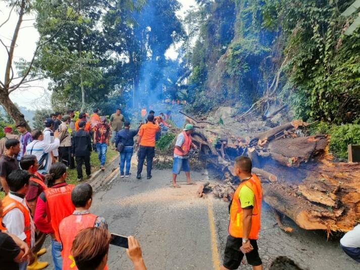 Pembersihan dan Penebangan Pohon di Area Longsor Tuntas
