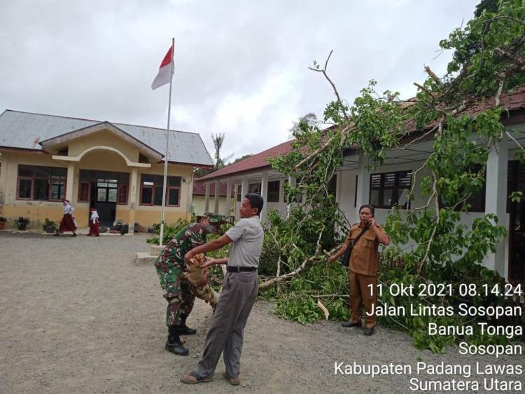 Tiga Ruangan Kelas SDN 0310 Simaninggir Palas Rusak Tertimpa Pohon