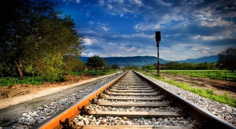Kejar Anjingnya yang Terlepas, Bocah 12 Tahun Tewas Disambar Kereta Api