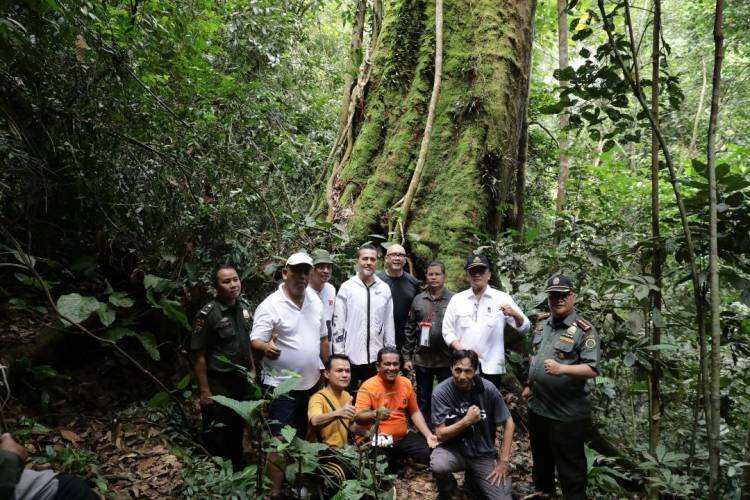 Rehabilitasi dan Feeding Orang Utan di Bukit Lawang Segera Diaktifkan