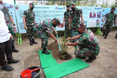 PT Inalum Bersama Kodam I Bukit Barisan Tanam Pohon di Kawasan Tangkapan Air Danau Toba