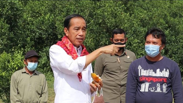 Adanya Perbaikan Jalan, Produksi Ongkos Logistik Jadi Murah