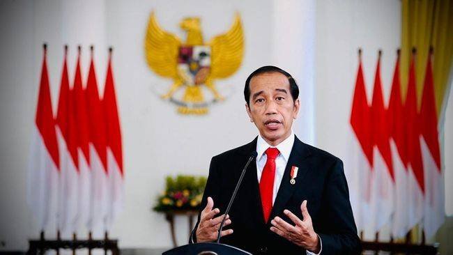 Jokowi Optimistis Target Konservasi Laut 32,5 Juta Hektare Tahun 2030 Tercapai