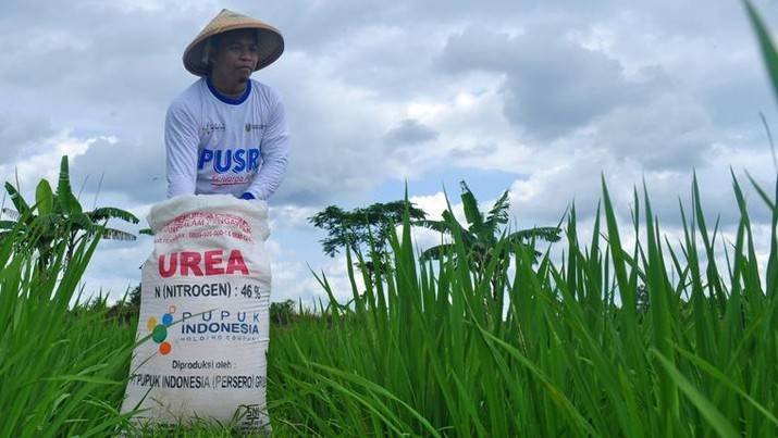 Tidak Benar Petani Kesulitan Mendapatkan Pupuk Bersubsidi 
