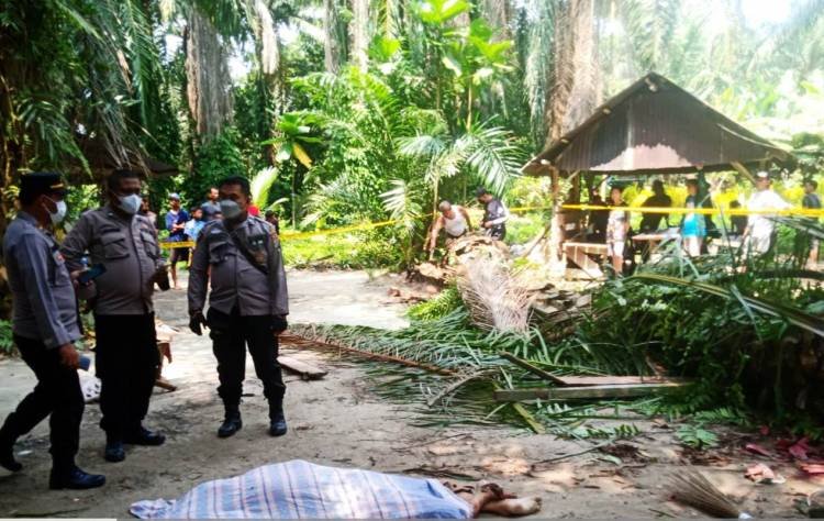 Warga Pantaicermin Tewas Tertimpa Pohon Sawit di Pantailabu-Deliserdang