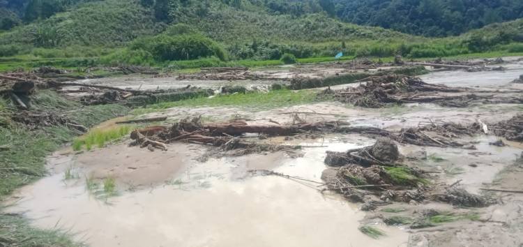 Puluhan Hektare Sawah di Sipahutar Terendam Banjir