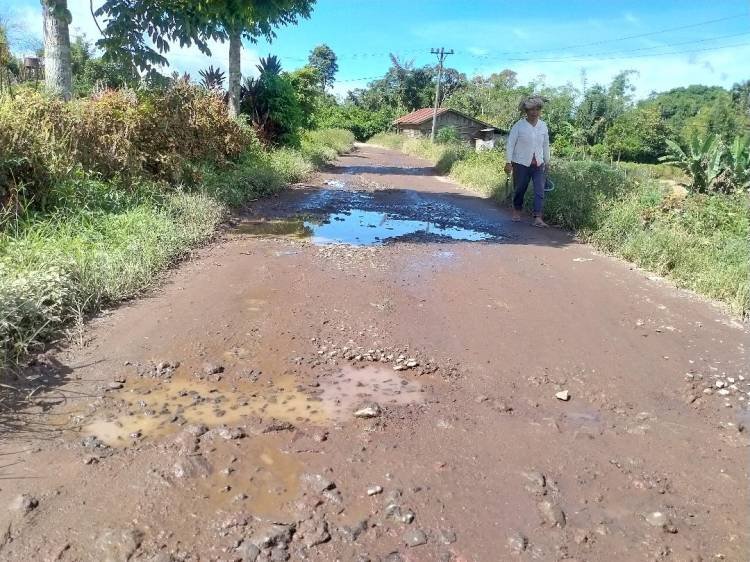 Jalan Menuju Desa Spinggan Butuh Perbaikan