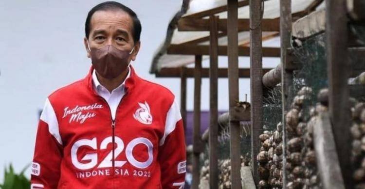 Jokpro 2024: 3 Periode Bukan Keinginan Jokowi tapi Masyarakat