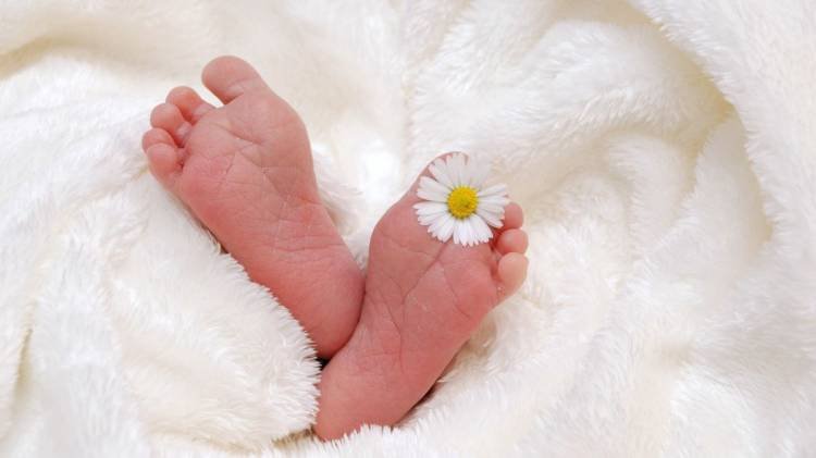 Tidak Punya Cucu, Pasutri India Gugat Anak-Menantu Rp 9,4 M