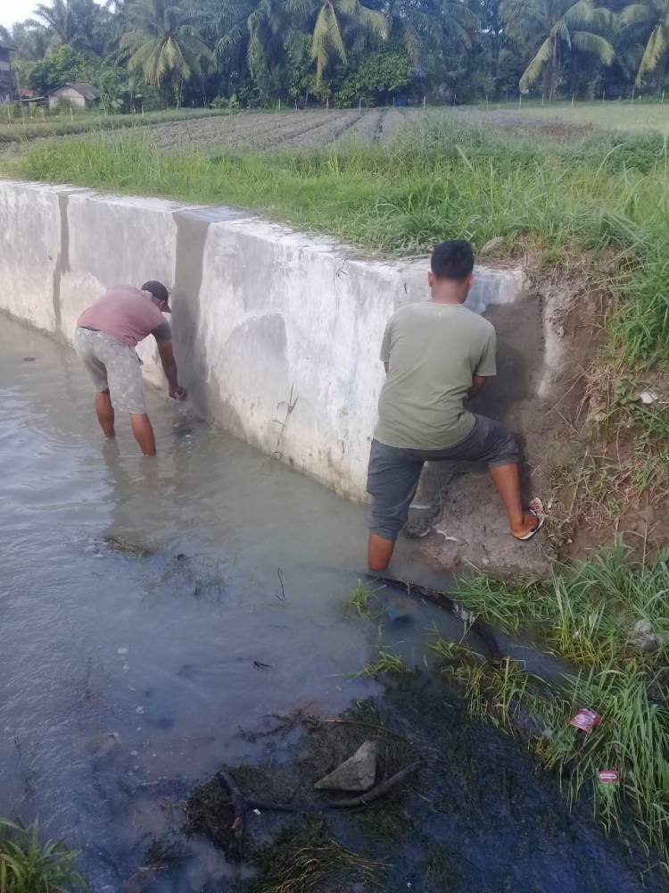Rekanan Perbaiki Dinding Irigasi yang Retak di Dolok Malela