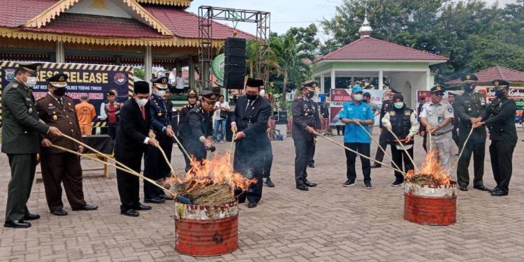 Usai Peringatan HUT ke-76 Bhayangkara, Polres Tebingtinggi Musnahkan BB Ganja Kering