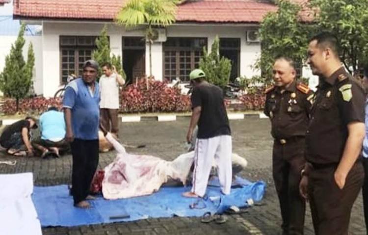 Kejari Deliserdang Kurban 3 Ekor Sapi di Lubukpakam