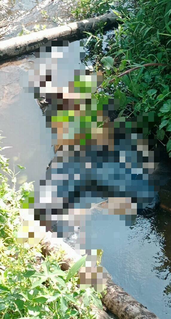 Mayat Kakek  67 Tahun Ditemukan Membusuk di Parit Kebun PTPN II Sei Semayang
