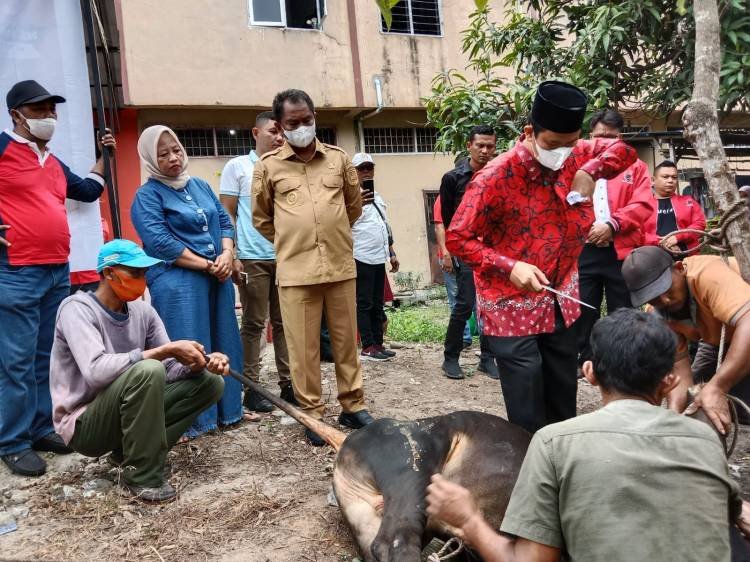 Idul Adha 1443 H, PDIP Sergai Sembelih 4 Hewan Kurban