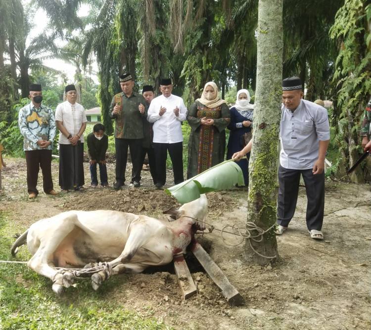 Danrem 022/PT Sembelih Hewan Kurban untuk Dibagikan Ke Masyarakat