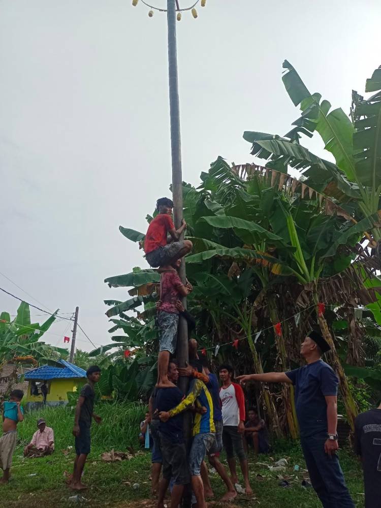 Persatuan Muda Mudi Tapanuli Simpang Dolok Gelar Panjat Pinang HUT ke-77 RI