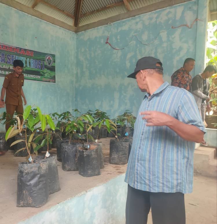 Pj Pangulu dan Kaur Keuangan Nagori Silau Bayu Tidak Tahu Nama Pemasok Bibit Durian