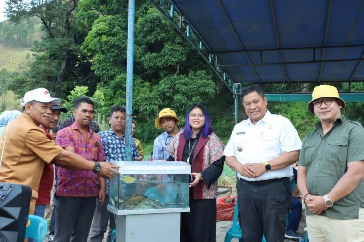 Pemkab Dairi Bersama Yayasan AUR Dairi Menenggoi Bangun Kolam Konservasi Ihan Batak di Paropo 2