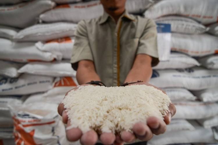 Sumut Surplus Beras 352.807 Ton Sampul Juli 2022