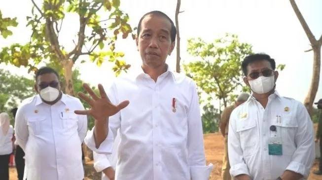 Jokowi Respons Usul Luhut soal TNI Bisa di Kementerian: Belum Mendesak