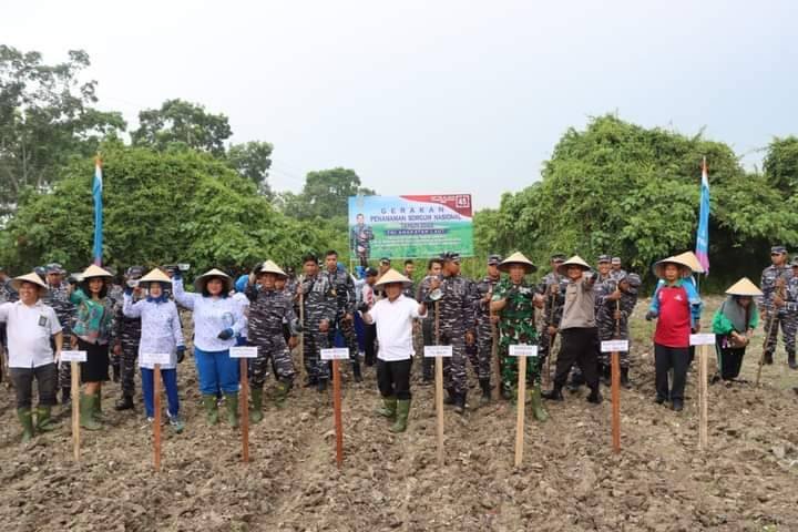 HUT ke-77 TNI AL, Danlanal TBA dan Wali Kota Tanam Sorgum di Tanjungbalai