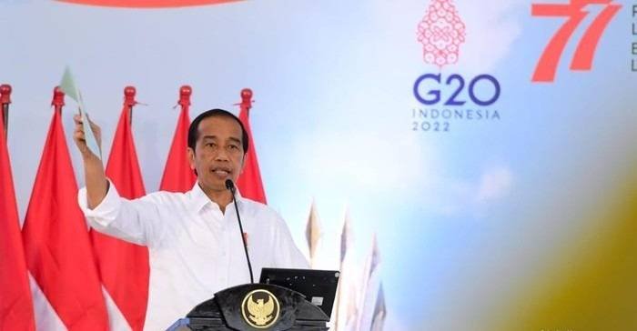 Jokowi Ungkap Syarat Sumber Daya Alam Melimpah Jadi Kekuatan Indonesia