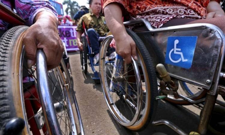 Dorong Kesetaraan, Wakil Ketua MPR Minta Hak Penyandang Disabilitas Dipenuhi