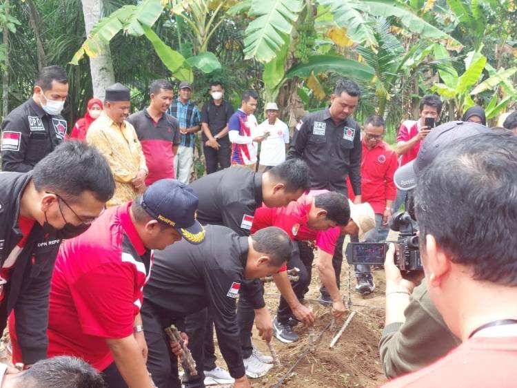 Repdem Sumut Gelar Penanaman Pohon, Penyaluran Bibit dan Beri Bantuan Petani Batubara