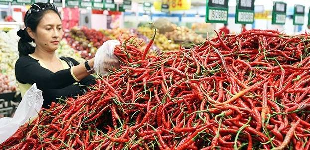 Harga Cabai Merah di Medan Anjlok