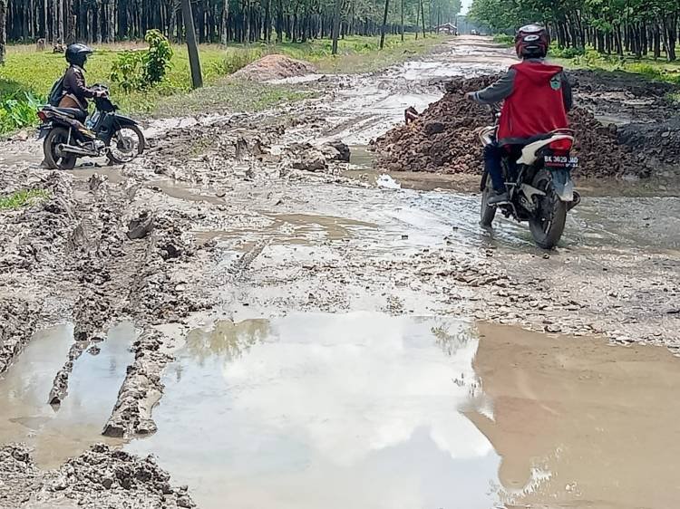 Kondisi Jalan Hancur-hancuran, Warga Minta Pemkab dan DPRD Labura Jangan Tutup Mata