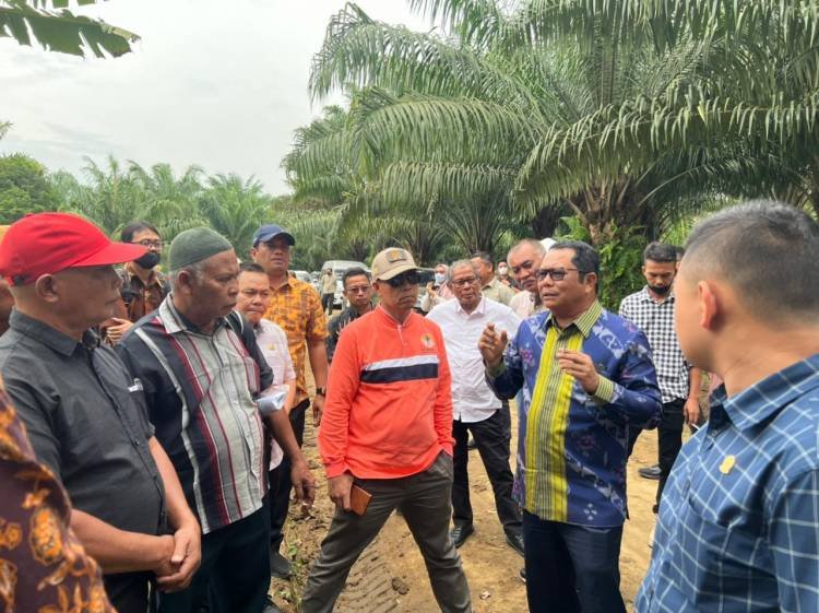 DPRD Minta Hasil Ukur Ulang Lahan HGU PT Socfindo Tanah Gambus dibuka ke Publik