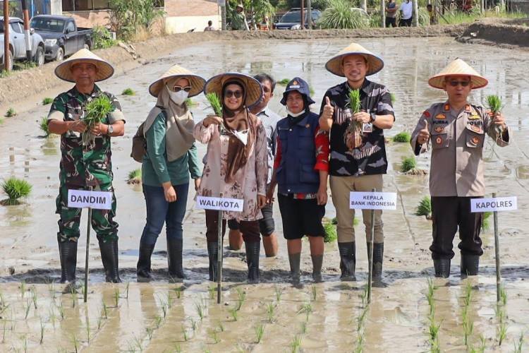 Wali Kota Pematangsiantar Serahkan Bantuan Benih Padi dan Kartu E-Tani