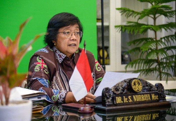 Di Forum PBB, Menteri LHK Beberkan Upaya RI Kelola Air Tanah