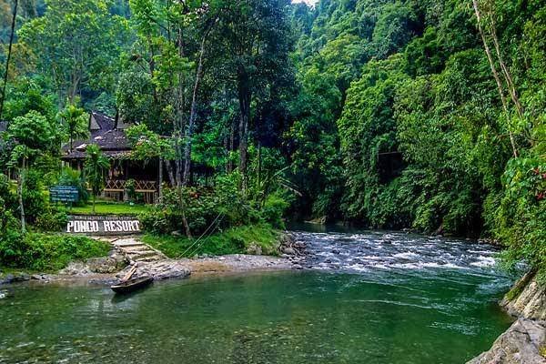 Batu Katak Bahorok Langkat Tawarkan Beragam Kegiatan Wisata bagi Pengunjung