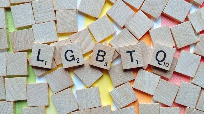 Ditolak Sana-sini, Kunjungan Utusan Khusus LGBTQI+ AS ke RI Batal