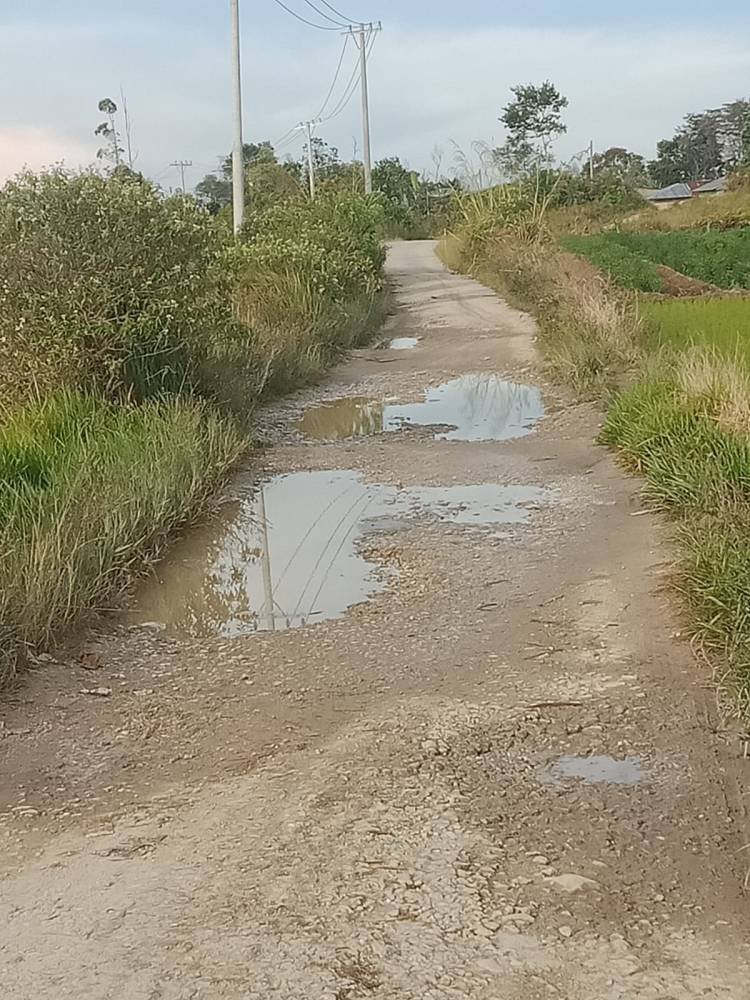 Jalan Pagaran Pisang di Humbahas Rusak Parah, Perlu Perhatian Pemerintah
