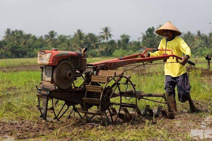 Petani Nagori Moho Simalungun Dambakan Hand Tracktor dan Benih Padi Unggul