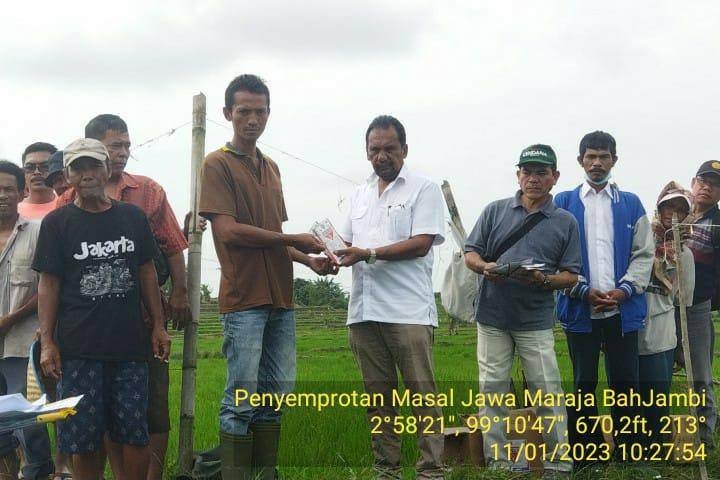 Dinas Pertanian Simalungun Lakukan Penyemprotan Massal di Kecamatan Jawa Maraja Bah Jambi