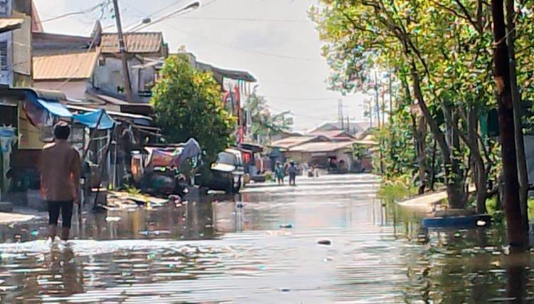 Pemukiman Penduduk di Belawan Kembali Terendam Rob