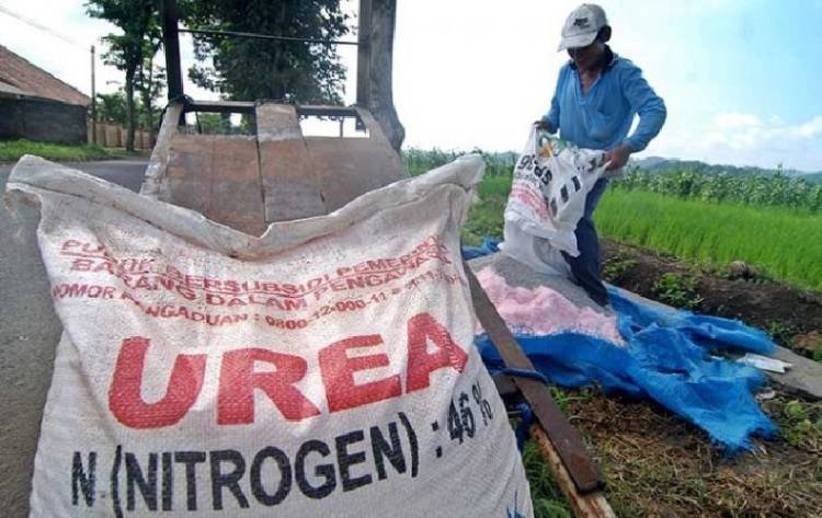 Distan Deliserdang Imbau Petani Melapor Jika Temukan Pupuk Oplosan