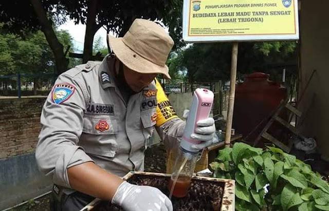 Brigadir JA Siregar, Babinkamtibmas Polsek Pangkalansusu Pembudidaya Lebah Kelulut