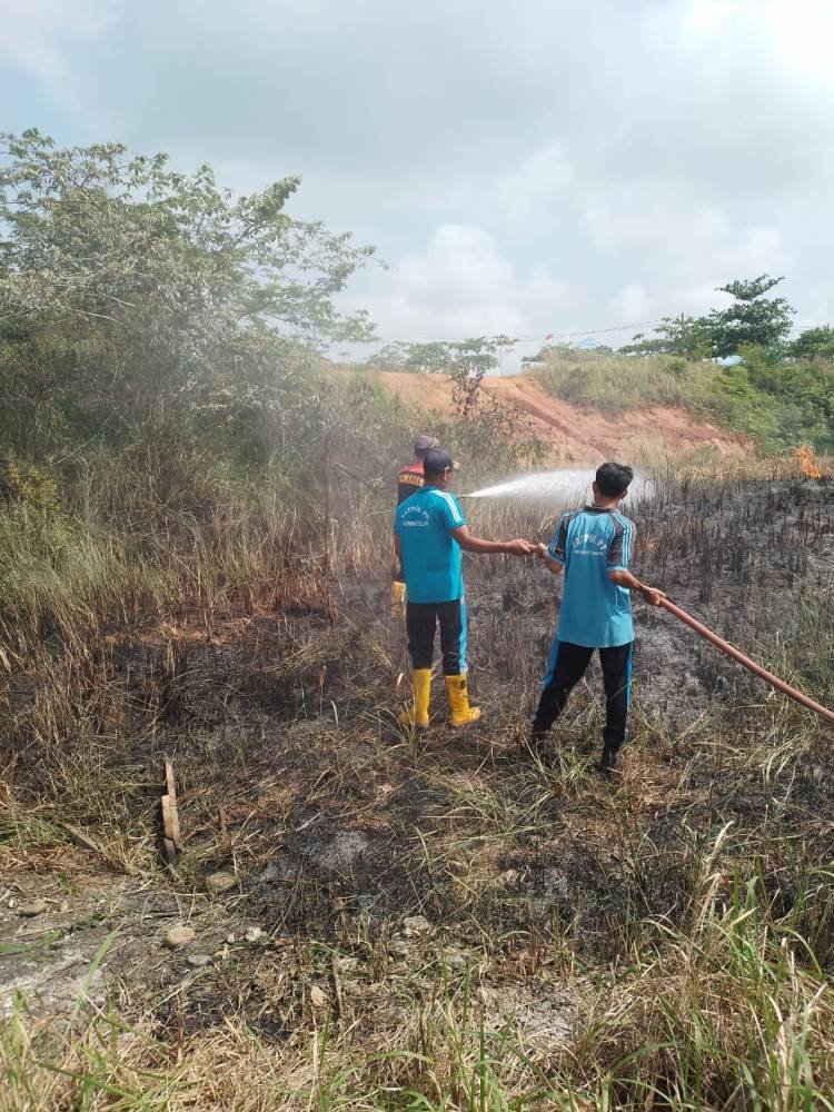 Lahan Kosong di Kompleks Perkantoran Pemkab Labusel Terbakar