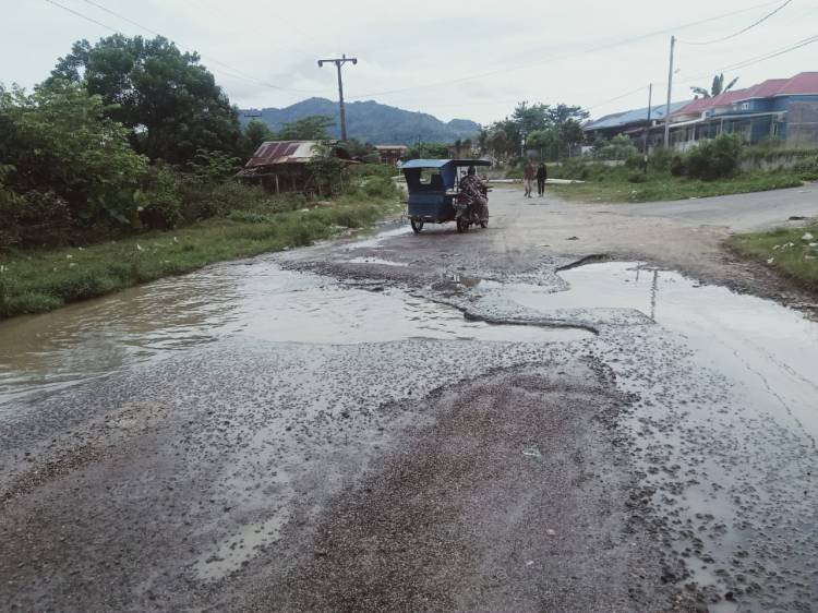 Jalan Provinsi Ruas Tugu Ikan Sibuluan Aek Horsik Tidak Terawat