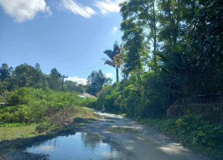 Jalan Kabupaten Ruas Sirongit - Sidulang Laguboti Rusak Parah