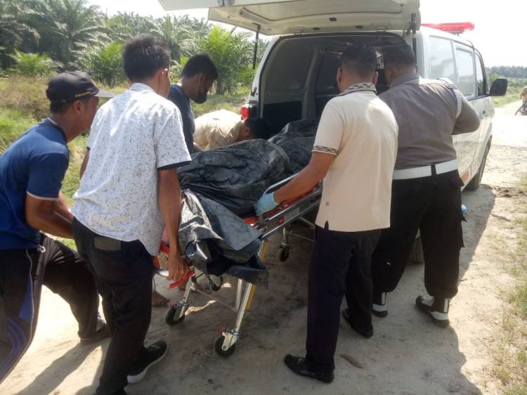 Mayat Mr X  Ditemukan di Areal Kebun Sawit PTPN IV Adolina Perbaungan