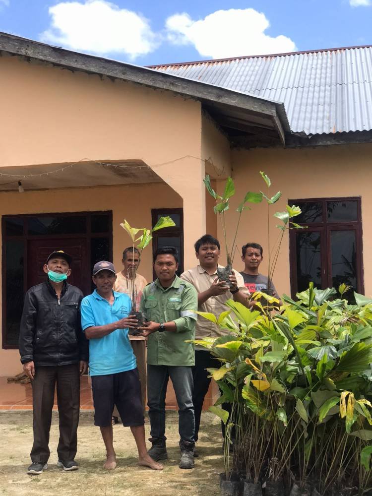 TPL Bantu 1100 Bibit Aren kepada Kelompok Tani di Desa Pohan Jae Siborongborong