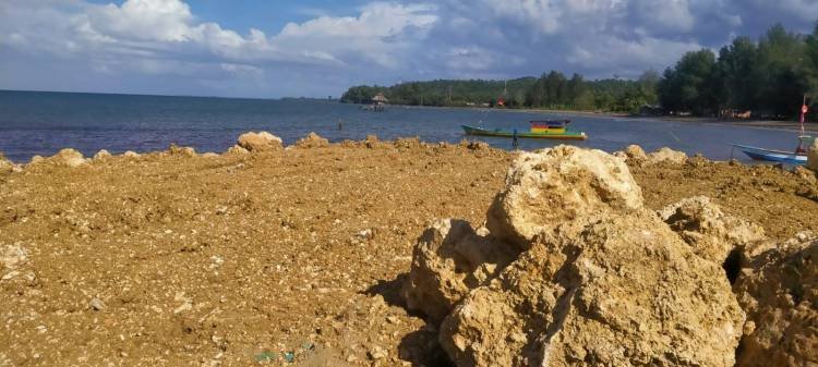 Penimbunan Pantai Miga Dukung Peningkatan Pendapatan Nelayan