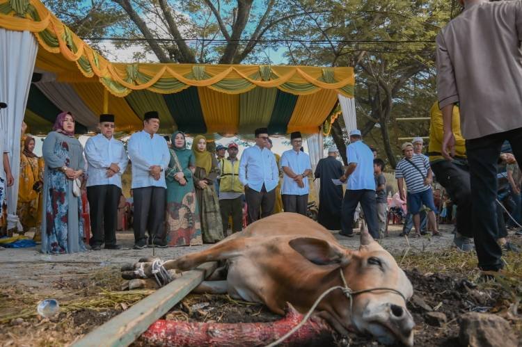 Wali Kota Padangsidimpuan Salat Idul Adha 1444 H di Masjid Agung Al-Abror